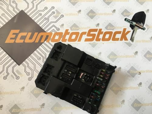 BSI PEUGEOT/CITROEN 9651197380A 9651196680A BSI J01-00 J0100