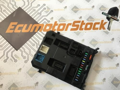 BSI PEUGEOT/CITROEN 9666952080 BSI X02-00 BSI X02 00 BSIX0200