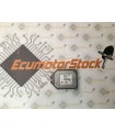 UNITÉ DE COMMANDE ÉLECTRONIQUE ( ECU )  OPEL VECTRA C 09 179 499 09179499 5WK9 182 5WK9182