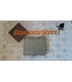 copy of UNITÉ DE COMMANDE ÉLECTRONIQUE ( ECU )  RENAULT MEGANE S111730108C HOM7700864451 7700101920