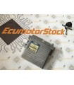 ECU MOTOR  R04080003E DCN