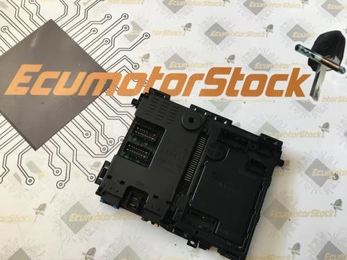 BSI PEUGEOT/CITROEN S110950110C S110950110 C 9640091080/00 BSI D9